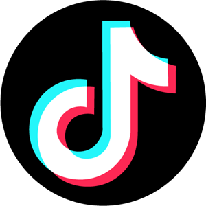 Tiktok icon